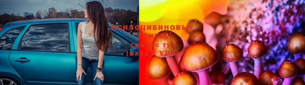 МДПВ Арсеньев