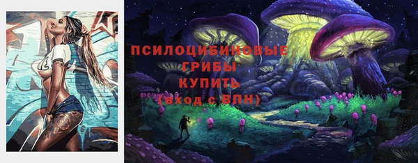 МДПВ Арсеньев